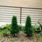 3ft. UV Resistant Cedar Plant Set with Integrated Ground Stake